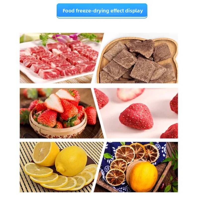 مجفف تجميدي صغير للأطعمة والفو - مراجعة Snacks Food In Us وسعره